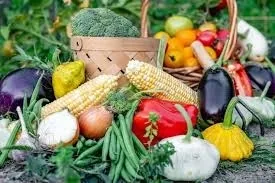 Bulk Tomato Crate 013